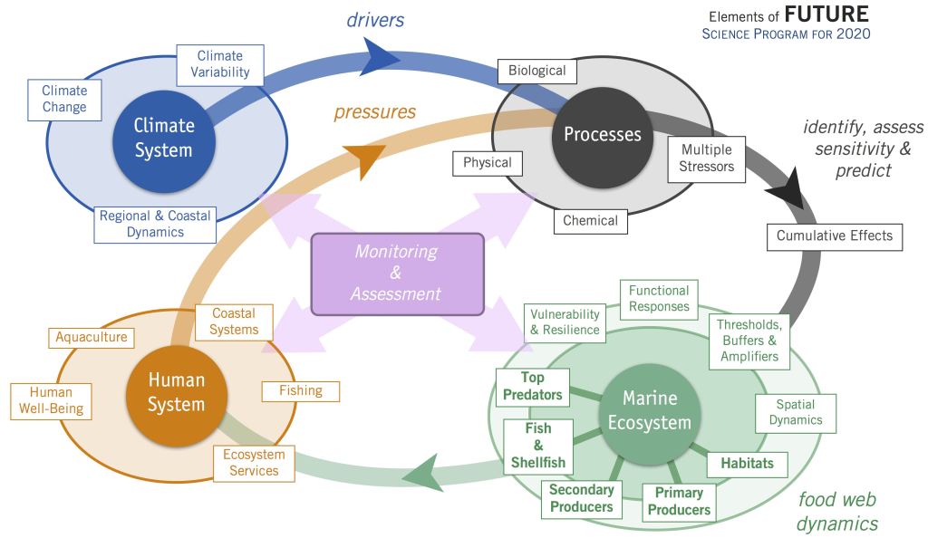 Ssc Pacific Organization Chart